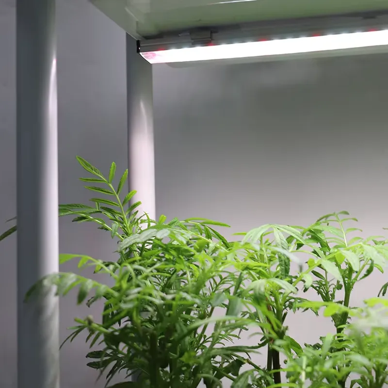Vertical Planter - Hareketli Dikey 3 Katlı Kendi Kendine