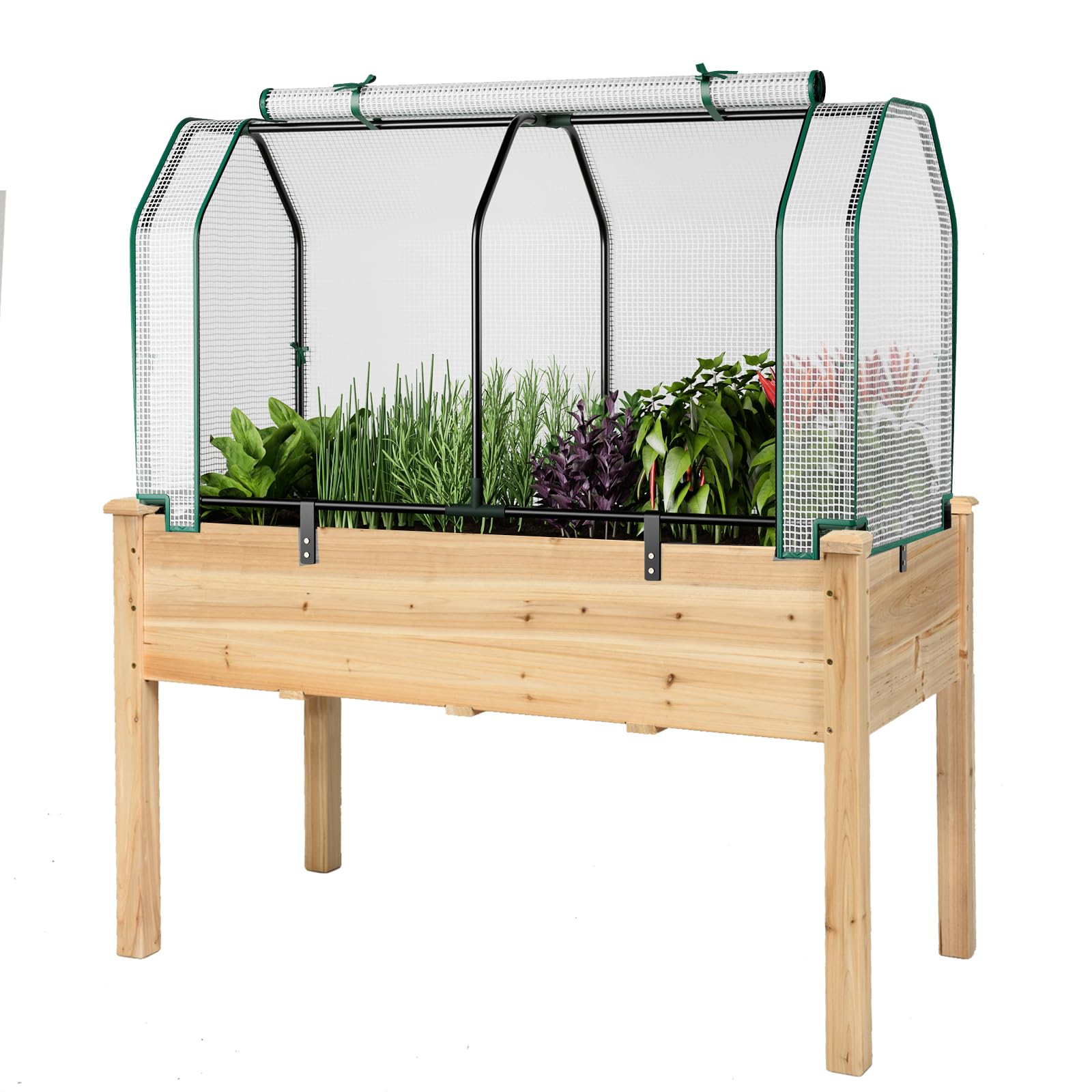 Raised Garden Bed - Sera Örtülü Yükseltilmiş Bahçe Yatağı, Yükseltilmiş