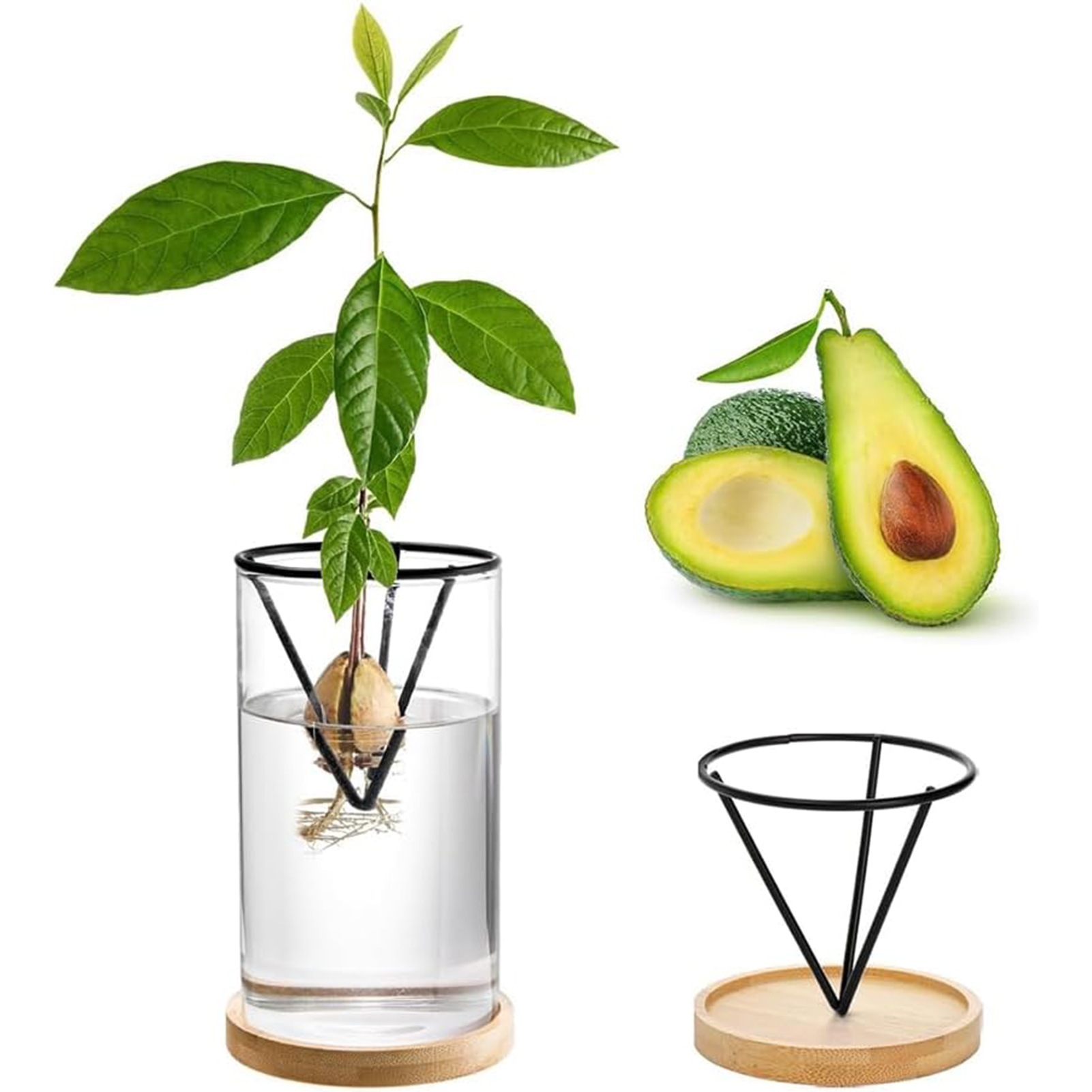 1 takım avokado ağacı yetiştir - Hydroponic Kit incelemesi ve fiyatı