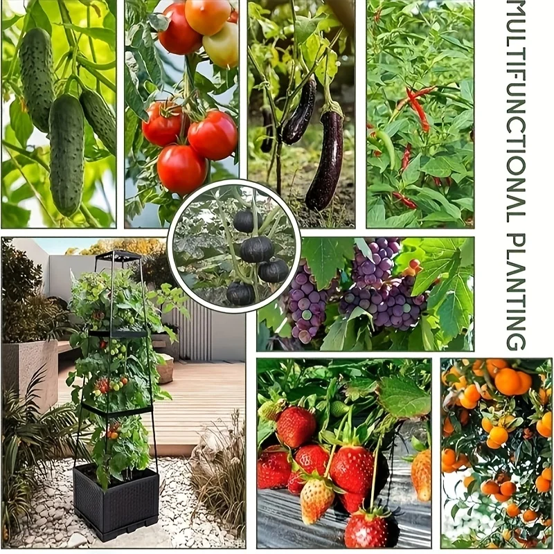 Kendi Kendine Sulanan Saksı ve - Indoor Herb Garden incelemesi ve fiyatı