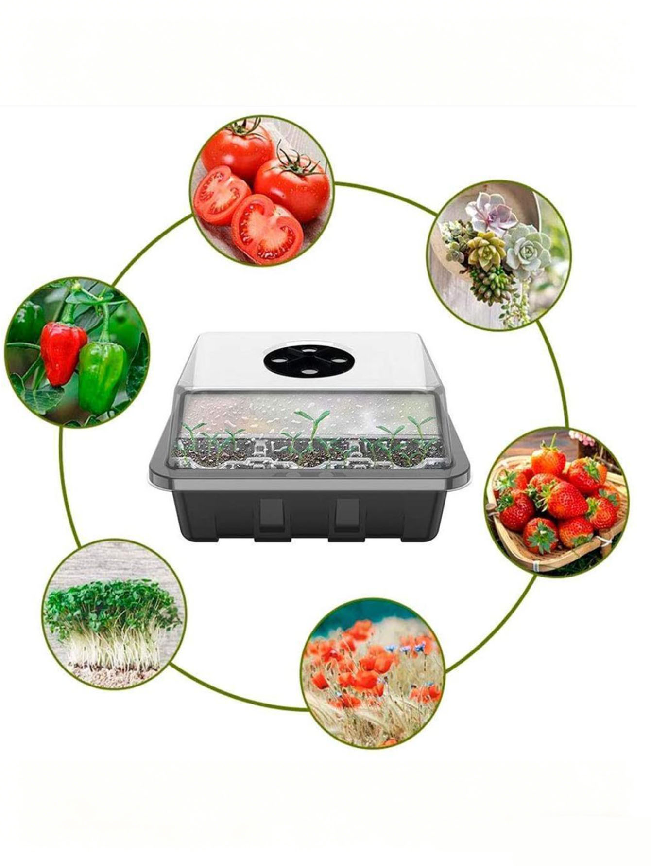 1/2 adet 6/12 Delikli Fide Tep - Seed Starter Tray incelemesi ve fiyatı