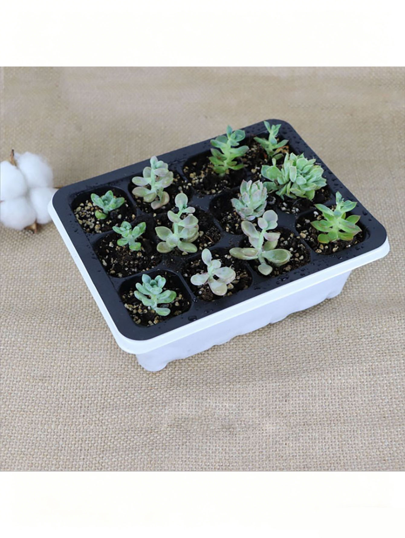 1/2 adet 6/12 Delikli Fide Tep - Seed Starter Tray incelemesi ve fiyatı