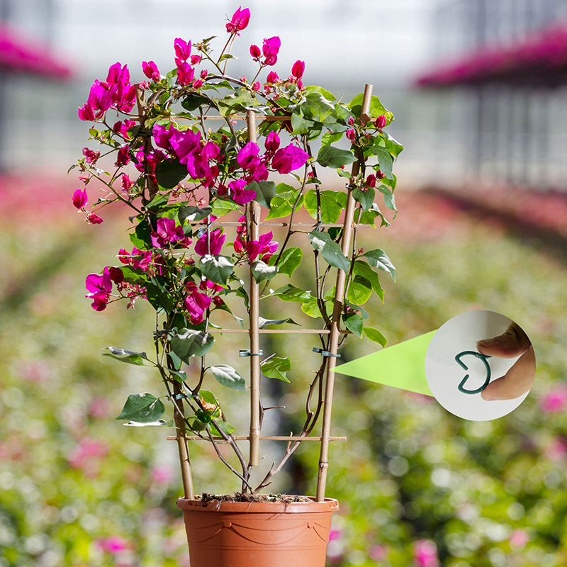 50/100 adet bahçe bitki klipsl - Vertical Planter incelemesi ve fiyatı