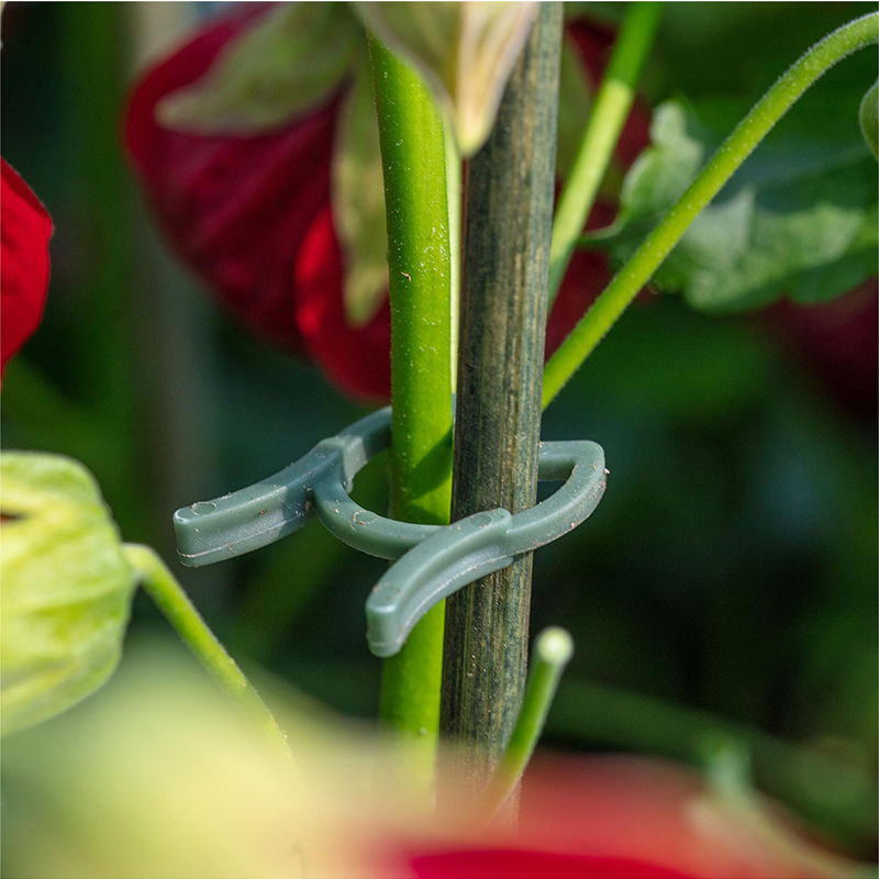 50/100 adet bahçe bitki klipsl - Vertical Planter incelemesi ve fiyatı